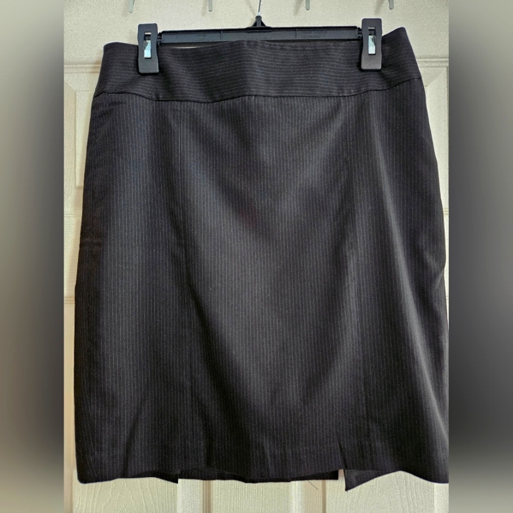 The Limited Skirt
